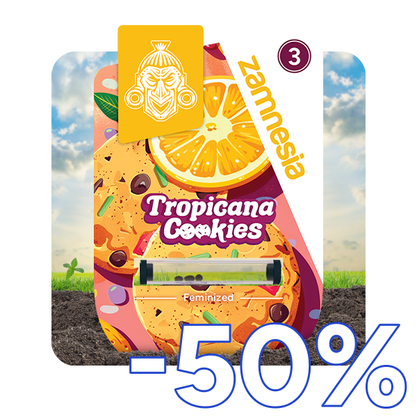 Tropicana